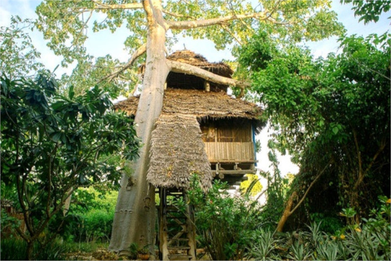 Chole Mjini Lodge