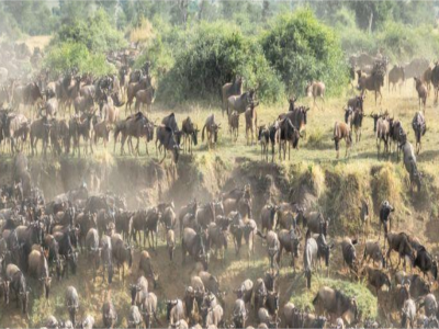 grumeti-game-reserve-safaris-tanzania