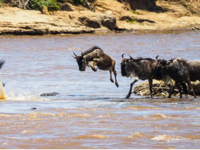 maasai-mara-national-reserve