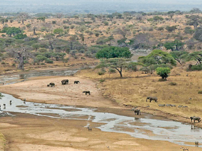 Tarangire National Park