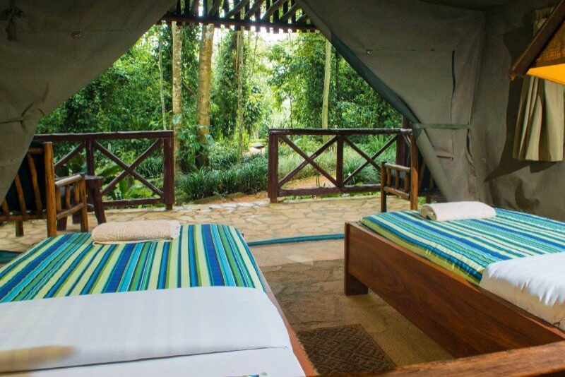 KIBALE FOREST CAMP