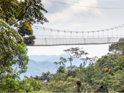 nyungwe-forest-national-park